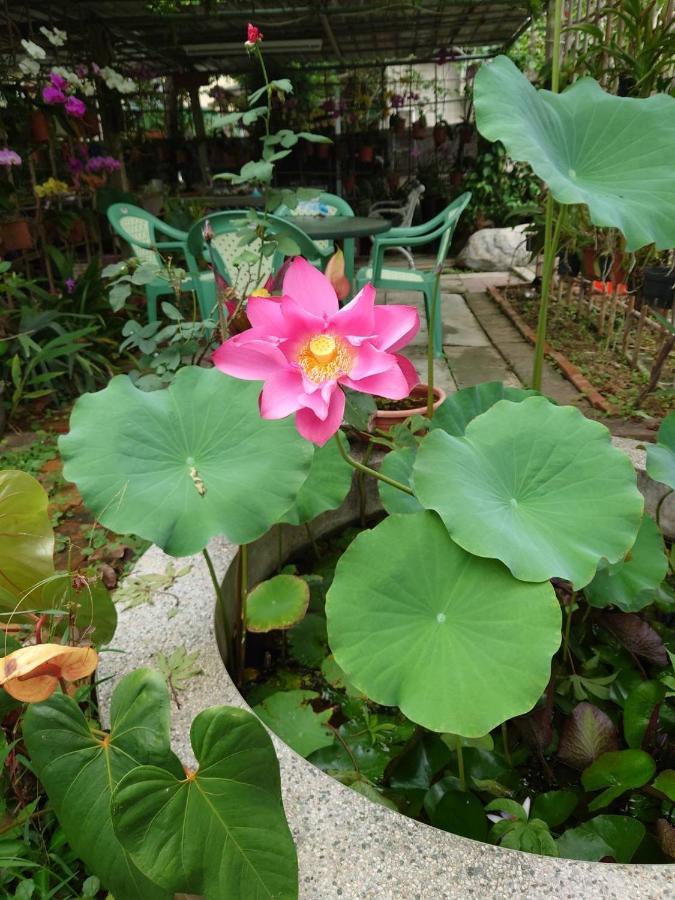 Garden Hostel Minxiong Eksteriør billede