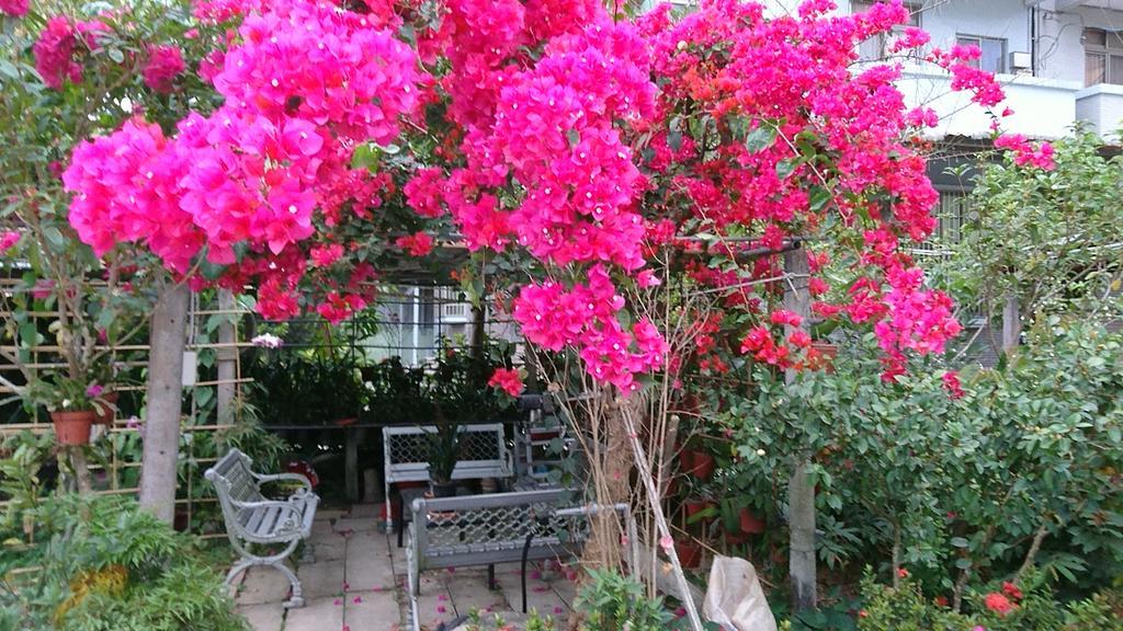 Garden Hostel Minxiong Eksteriør billede